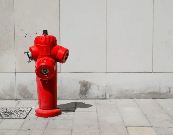 NYC Fire Hydrant Parking Rules & Ticket Prices